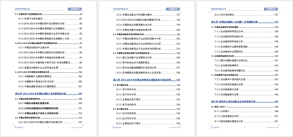 前景研究报告（2025-2031年）球盟会中国运动鞋行业发展现状及投资